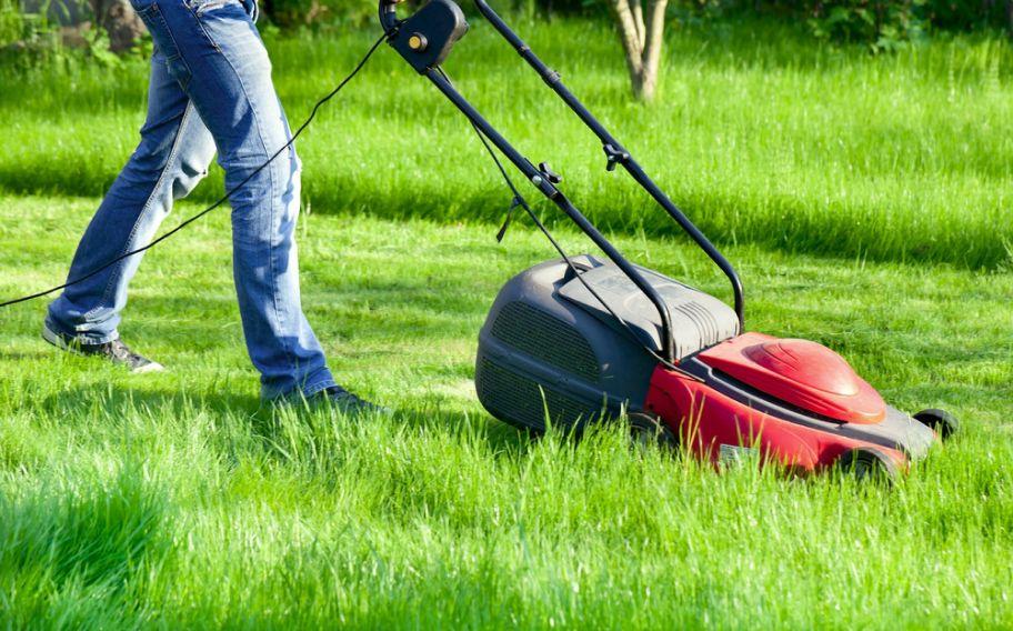 Unveiling the secrets to a jaw-dropping lawn 