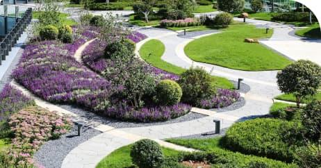 Landscape planning & design